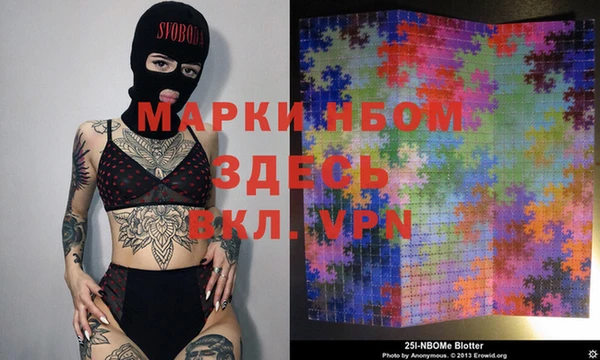 твердый Аркадак
